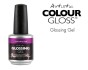 Artistic Glossing Gel Top Coat 15ml