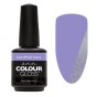 Artistic Colour Gloss -Aim to Chill 15ml