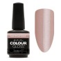 Artistic Colour Gloss -In Bloom 15ml
