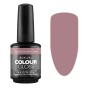 Artistic Colour Gloss -Gear To My Heart 15ml