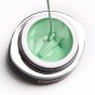 BB Brush&Go ColorGel #Go31