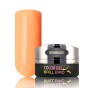 BB Brush&Go ColorGel #Go58