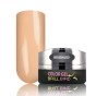 BB Brush&Go Colorgel #Go43