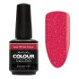 Artistic Colour Gloss -Nothing But Noughty 15ml