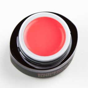BrillBird- Brush & Go gel #Go123