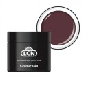 LCN- Colour Gel - great expectations TREND COLOUR