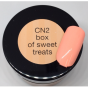 -Lcn- Candy Neon Gel Box of sweet Treats CN2- 5ml