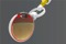 eye-section-out-grey-bg
