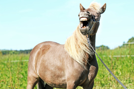 5450