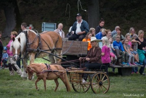 thumbnail_20160821-34680-nynäs
