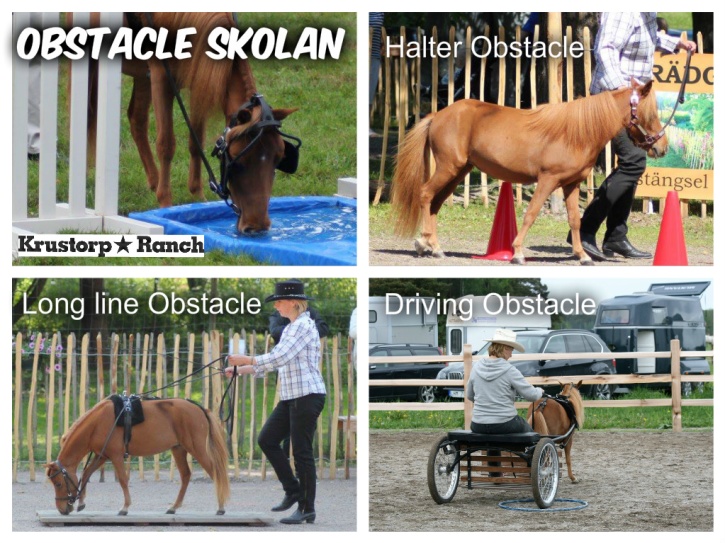 I Sverige tävlar vi normalt i 3 olika obstacle-klasser :) Halter Obstacle, där man leder hästen i grimma. Long line Obstacle, då man tömkör hästen. Och Driving Obstacle, där man kör hästen med en 2-hjulig rockard. Och som undantag så har vi Speed-Obstacle som är en Driving-Obstacle som går på tid. I Sverige tävlar vi normalt i 3 olika obstacle-klasser :) Halter Obstacle, där man leder hästen i grimma. Long line Obstacle, då man tömkör hästen. Och Driving Obstacle, där man kör hästen med en 2-hjulig rockard. Och som undantag så har vi Speed-Obstacle som är en Driving-Obstacle som går på tid.
