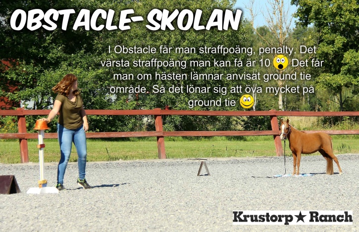 I Obstacleklasserna får man olika straffpoäng allt från 1/2 penalty för att slå i en bom till 10 penalty om hästen lämnar ground tie :) Så tänk att din häst kan slå i bommarna ganska många gånger utan att du drar på dig lika många penaltys som när din häst inte står kvar på ground tie :) Det lönar sig alltså ganska bra att träna ground tie =D ;) I Obstacleklasserna får man olika straffpoäng allt från 1/2 penalty för att slå i en bom till 10 penalty om hästen lämnar ground tie :) Så tänk att din häst kan slå i bommarna ganska många gånger utan att du drar på dig lika många penaltys som när din häst inte står kvar på ground tie :) Det lönar sig alltså ganska bra att träna ground tie =D ;)