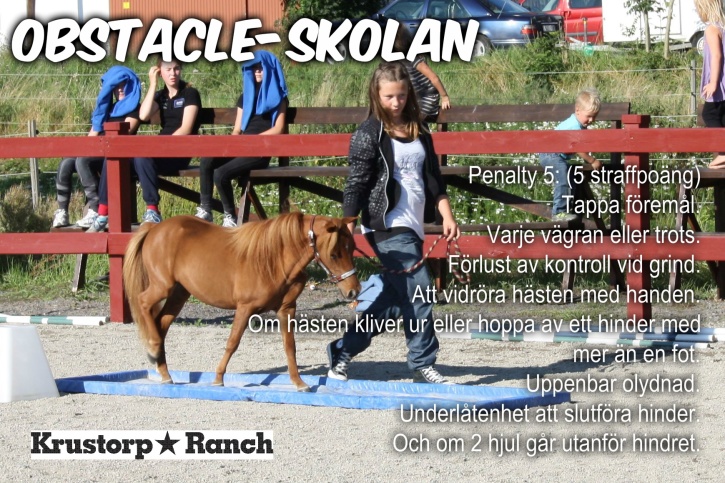 Något så enkelt som att vidröra hästen med handen ger dig 5 straffpoäng i en obstacleklass. Så klappa om hästen efter klassen. Vore ju synd att få 5 straffpoäng för att du berömmer din häst med en klapp inne på banan Något så enkelt som att vidröra hästen med handen ger dig 5 straffpoäng i en obstacleklass. Så klappa om hästen efter klassen. Vore ju synd att få 5 straffpoäng för att du berömmer din häst med en klapp inne på banan