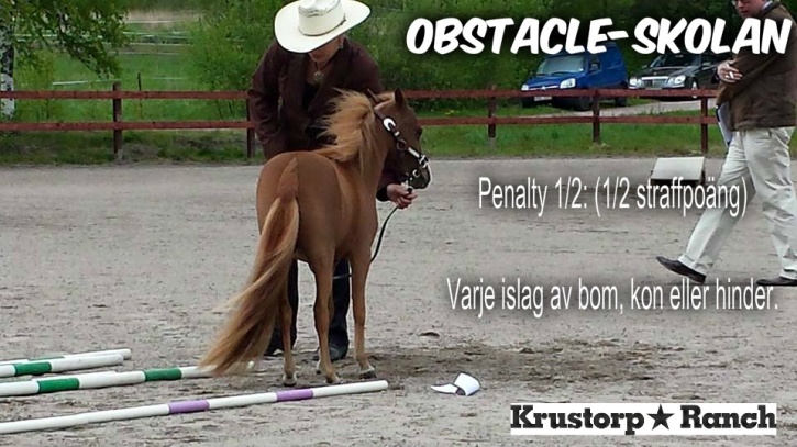 1/2 (ett halvt) straffpoäng för varje litet islag :) Men 19 små islag är fortfande bättre än att hästen går sin väg på ground tie =D 1/2 (ett halvt) straffpoäng för varje litet islag :) Men 19 små islag är fortfande bättre än att hästen går sin väg på ground tie =D