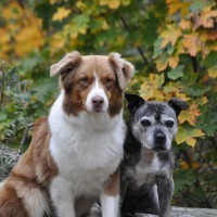 DSC_0365 DSC_0365