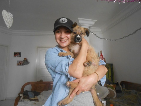 Ännu en gatuhund omhändertagen Ännu en gatuhund omhändertagen