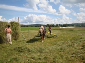 Slåtterdag i Hjortnäs Slåtterdag i Hjortnäs
