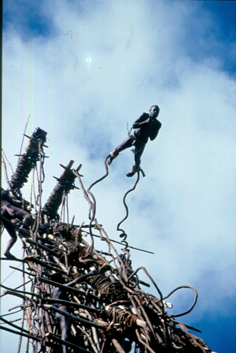 Från en inspelning på Vanuatu där det var skördetider och land diving utfördes bland befolkningens män. Sebra Film var en av få filmteam som fick filma denna ovanliga ritual. Vanuatu står i fokus idag då befolkningen tvingats evakuera på grund av ett väntat vulkanutbrott. Från en inspelning på Vanuatu där det var skördetider och land diving utfördes bland befolkningens män. Sebra Film var en av få filmteam som fick filma denna ovanliga ritual. Vanuatu står i fokus idag då befolkningen tvingats evakuera på grund av ett väntat vulkanutbrott.
