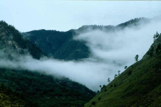 Dimman rullar in över bergen i Bhutan.