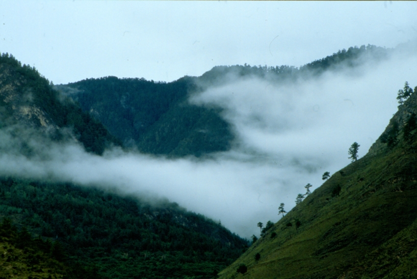 Dimman rullar in över bergen i Bhutan. Dimman rullar in över bergen i Bhutan.