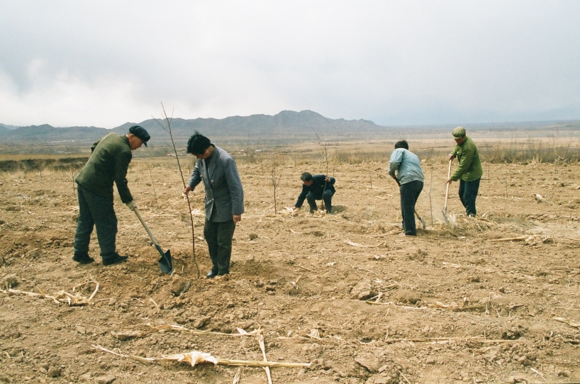 Plantering av träd i Kina under ledning av Mrs Wei som vi träffar i The Green Planet. Plantering av träd i Kina under ledning av Mrs Wei som vi träffar i The Green Planet.