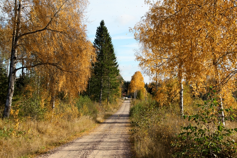 Vasserud, Torsby. I måndags började det stora arbetet med att flytta arkivet från Vasserud "hem" till Sebra-huset. Många filmlådor senare är det snart klart. Vasserud, Torsby. I måndags började det stora arbetet med att flytta arkivet från Vasserud "hem" till Sebra-huset. Många filmlådor senare är det snart klart.