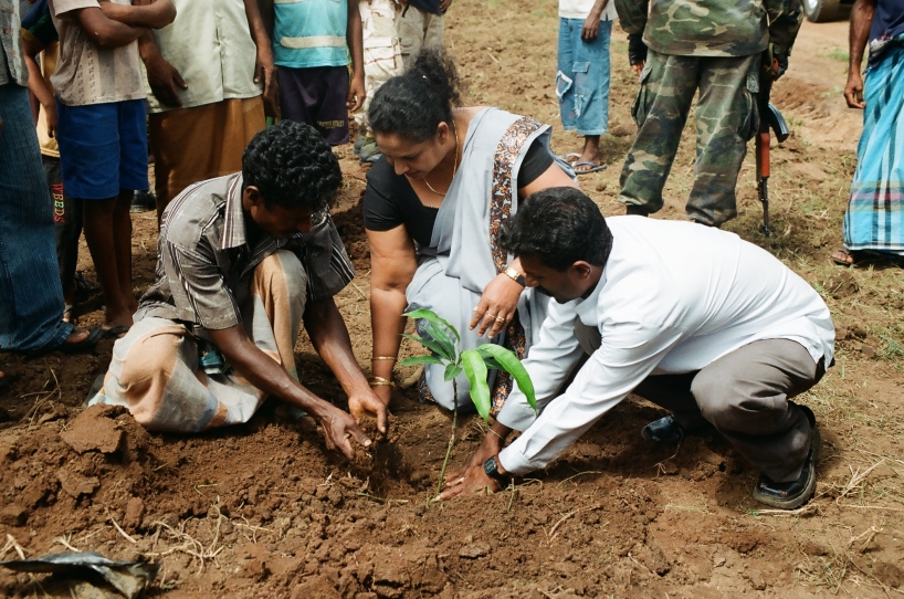 Trädplantering på Sri Lanka. Trädplantering på Sri Lanka.
