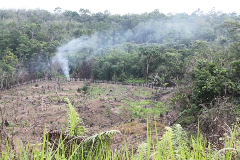 Indonesien, under inspelningarna av The Green Planet. Indonesien, under inspelningarna av The Green Planet.