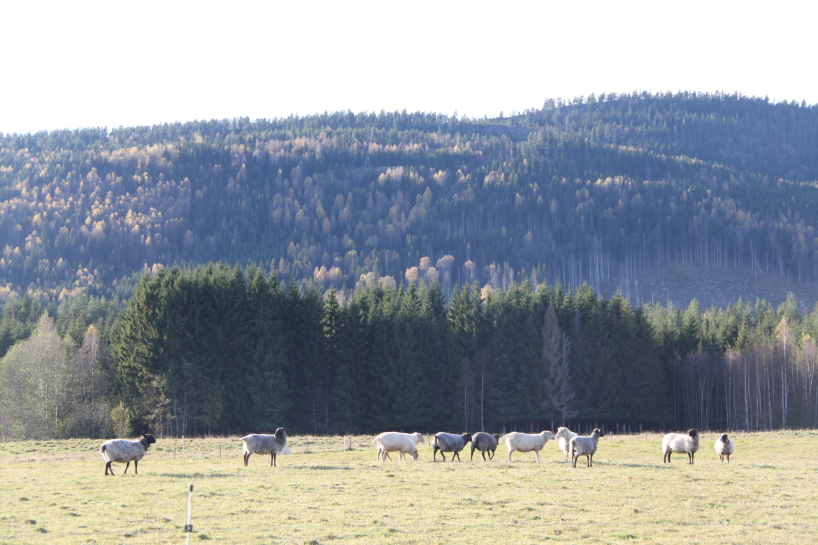 Värmland. Värmland.