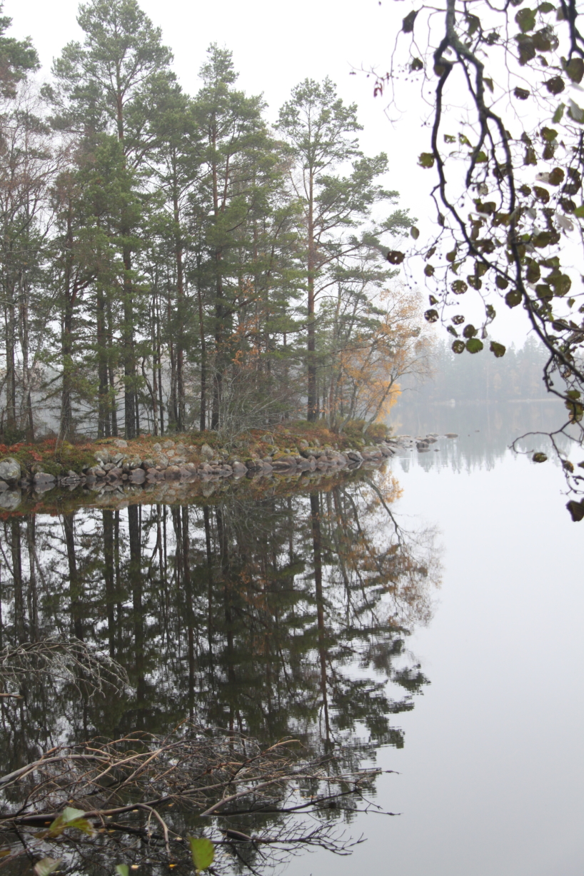 Småland, under inspelningarna med Sveaskog. Småland, under inspelningarna med Sveaskog.