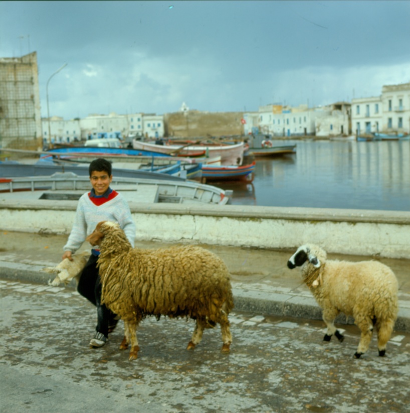 Tunisien. Tunisien.