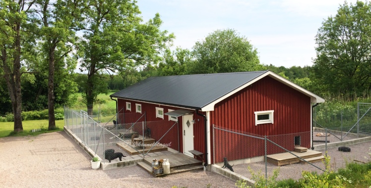 Ni får mer än gärna hälsa på oss, men för hundarnas skull tänk på att boka en tid först. Ni får mer än gärna hälsa på oss, men för hundarnas skull tänk på att boka en tid först.