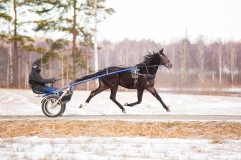 Sahitå N.N. 2025 02 15