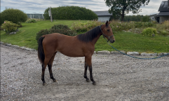 Cinco De B. 2025 08 21