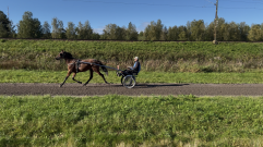 Cinco De B 2025 09 17