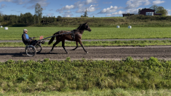 Kapen Zoom 2025 09 17