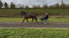 Global Income 2025 10 06