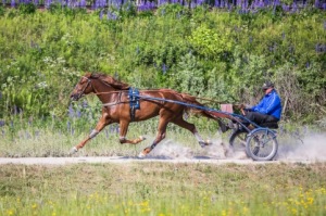 Tredje raka för Fukushima Jet!
