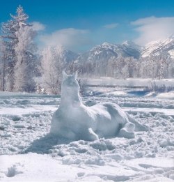 Snow_Horse Snow_Horse