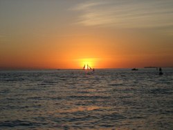 Solnedgång i Key West Florida
