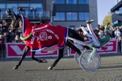 Stort Grattis till Derbysegern 2011 Muscles Wiking BR.