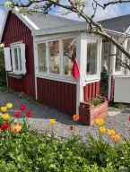 Maj den första och röd vimpel uppe