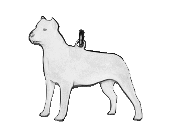 American Staffordshire Terrier hängsmycke - Silver