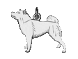 Shiba hängsmycke