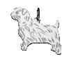 Norfolkterrier hängsmycke