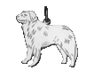 Berner Sennenhund hängsmycke - Silver
