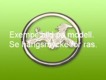 Basset Hound nål med cirkel - 18k guld