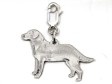 Labrador Retriever hängsmycke till armband