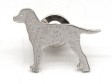 Curly Coated Retriever pin