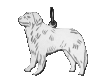 Berner Sennenhund nål med cirkel